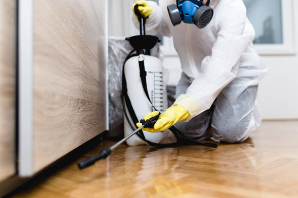 Best Flea Control Services  in Suffern, NY