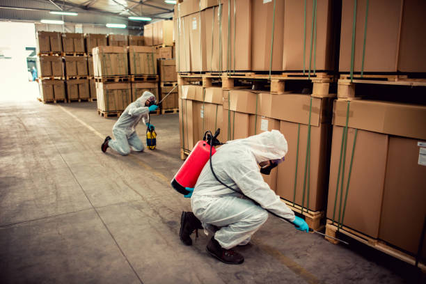 Best Wasp Removal Services  in Suffern, NY
