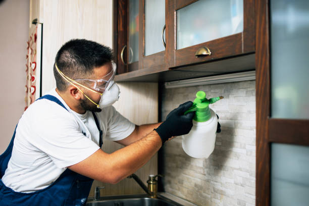 Best Exterminator Services  in Suffern, NY