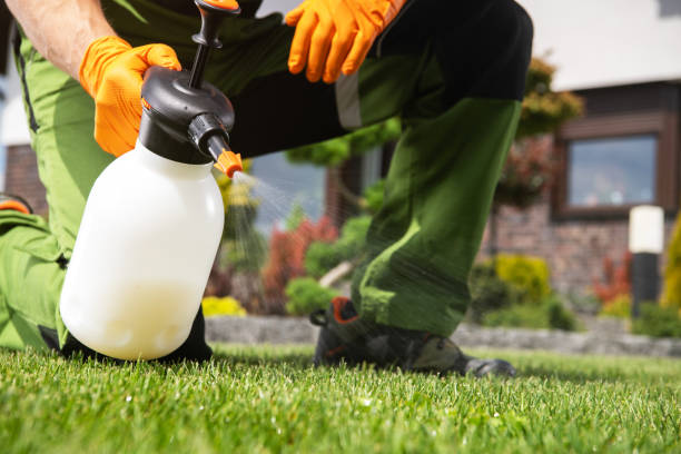 Best Affordable Pest Control Services  in Suffern, NY