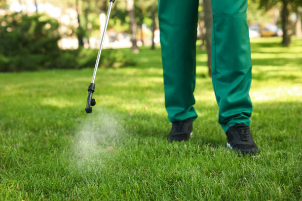 Wasp Removal Services in Suffern, NY