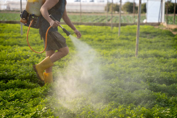 Reliable Suffern, NY Pest Control Solutions