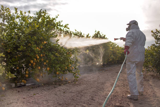 Best Best Pest Control Companies  in Suffern, NY