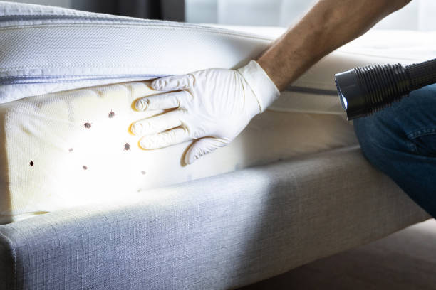 Best Wildlife Control Services  in Suffern, NY