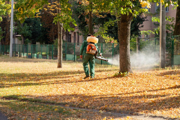 Best Pest Control for Homes  in Suffern, NY