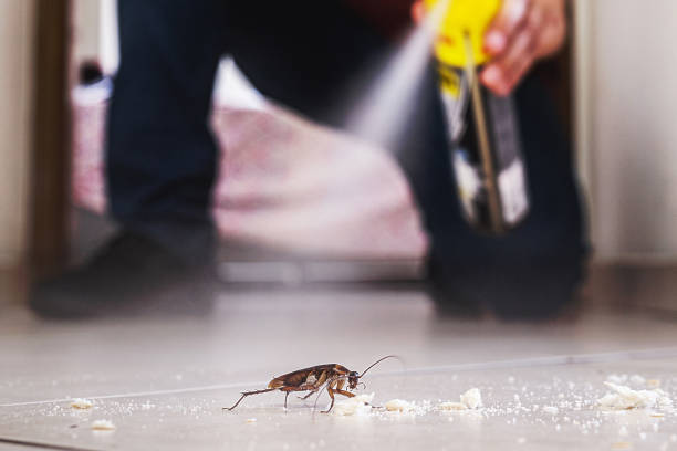 Wildlife Control Services in Suffern, NY